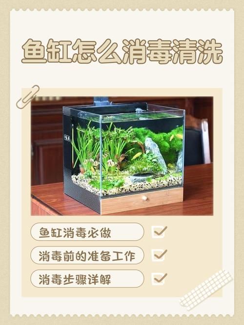 如何預防魚類細菌性疾病的發生，農業/水產養殖技術類細菌性疾病預防案例