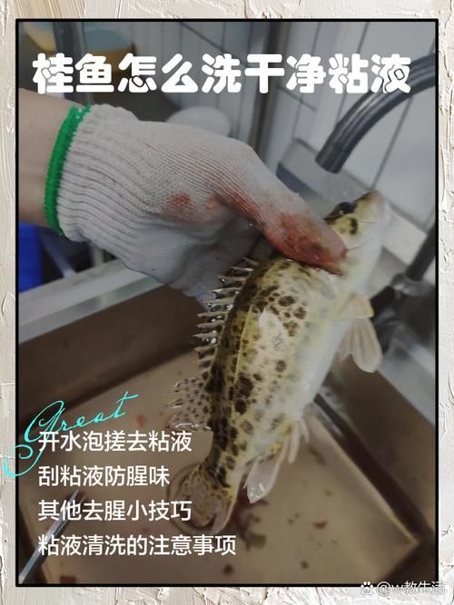 如何預防魚類細菌性疾病的發生，農業/水產養殖技術類細菌性疾病預防案例