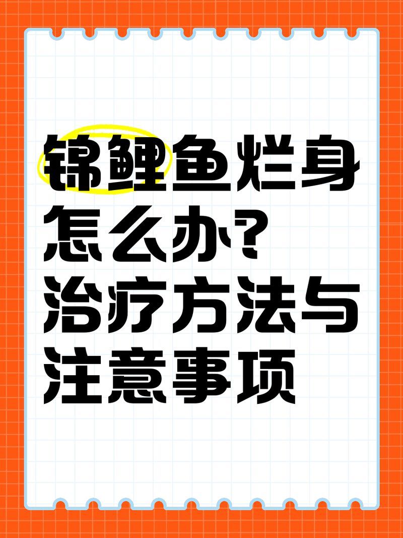 魚爛身治療期間需要喂食嗎