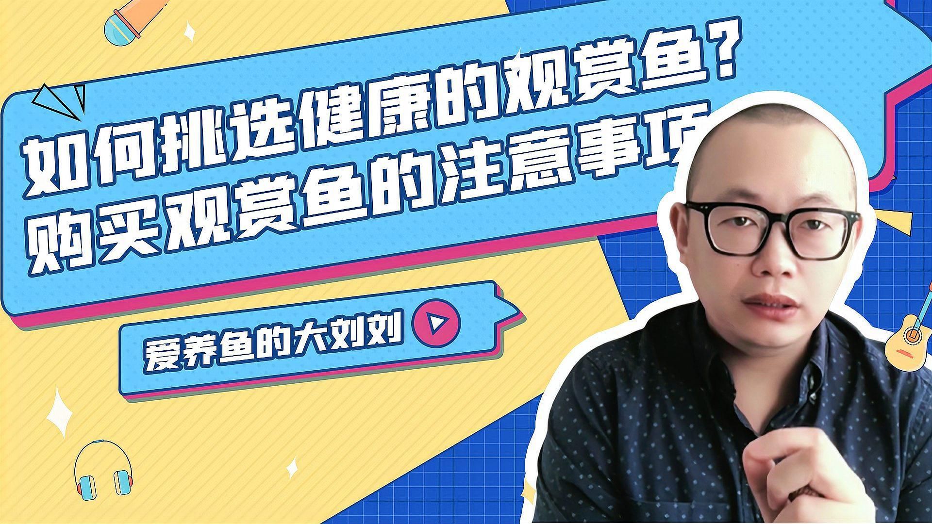 如何判斷魚類是否健康，判斷魚類是否健康，如何挑選到健康的觀賞魚愛養魚的大劉劉