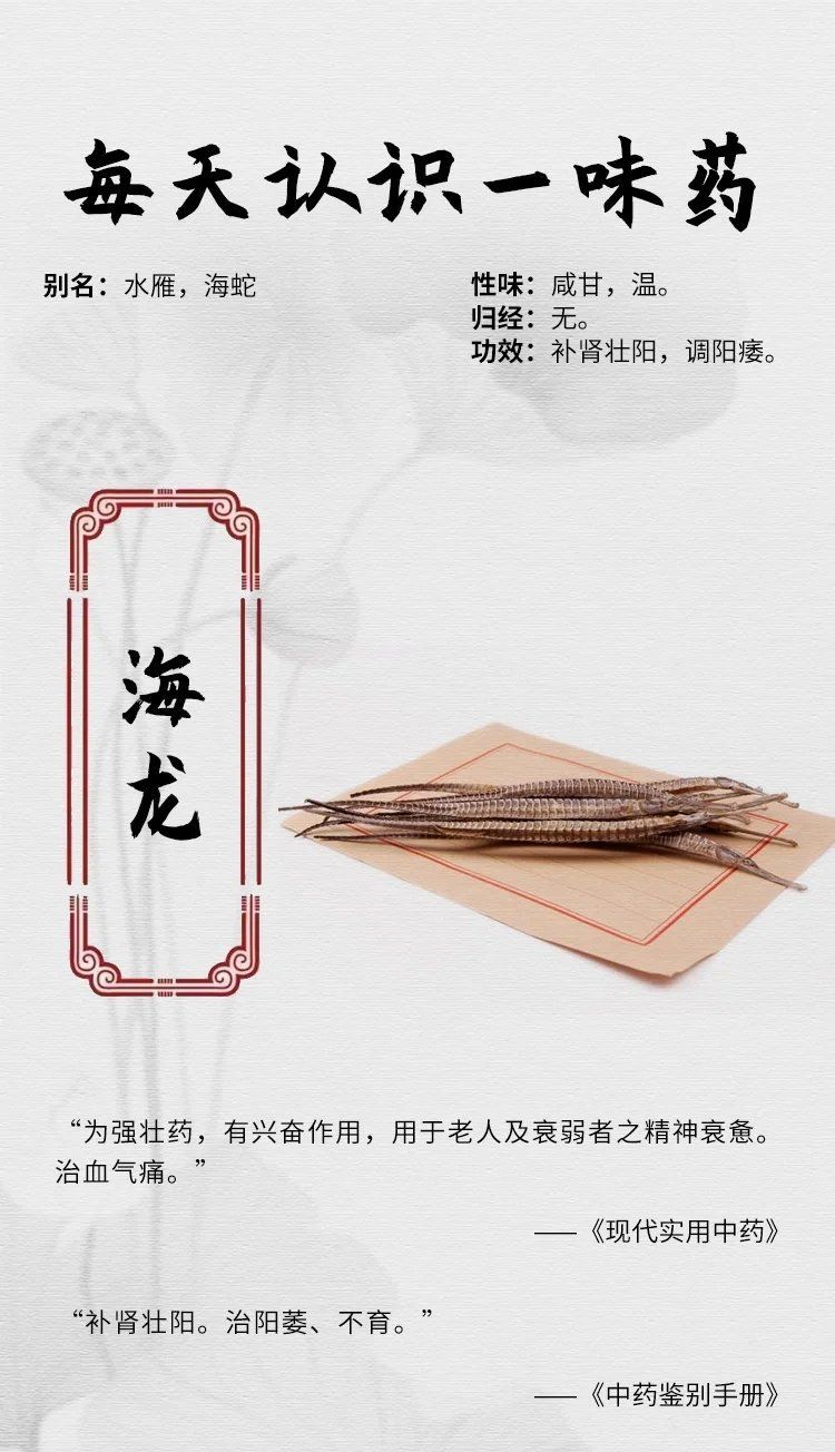 海龍的藥用功效有哪些，海龍的功效與作用