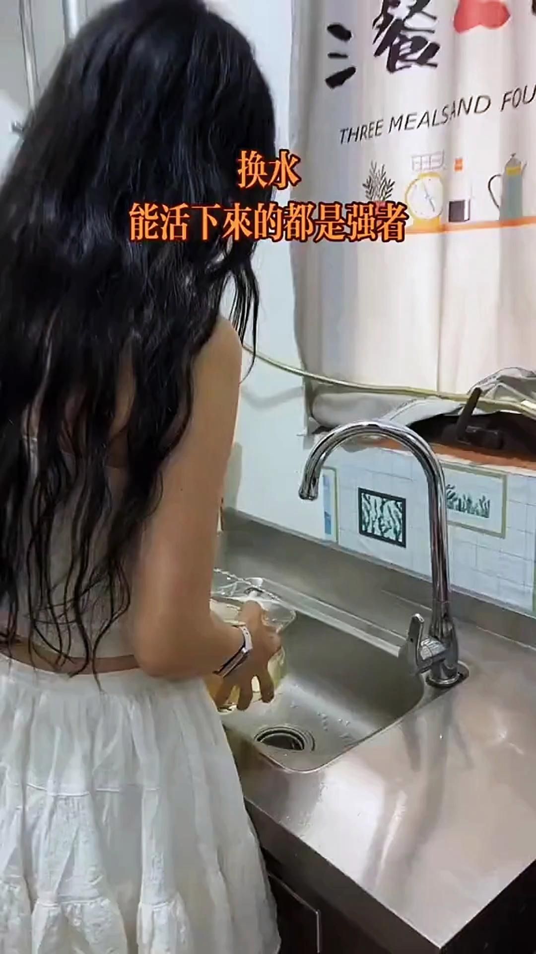 養魚口訣一三五七，一三五七養魚法，勤換水換魚免煩惱