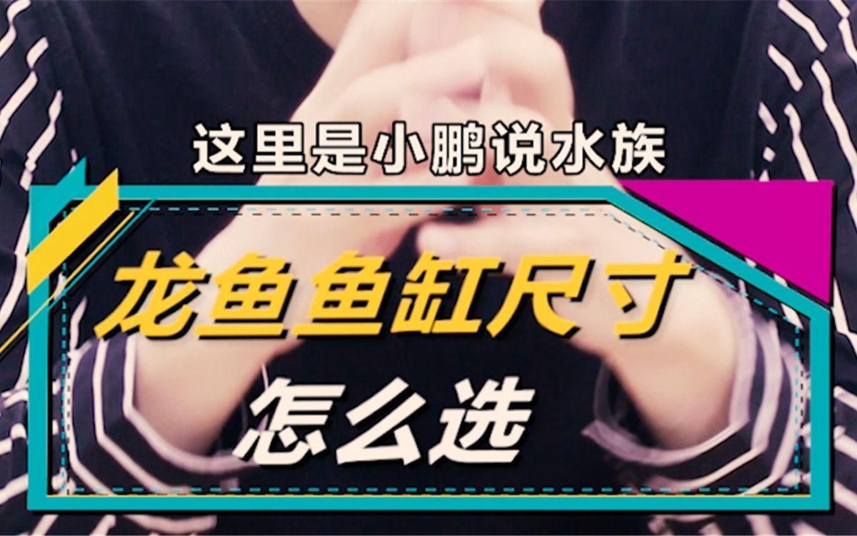 有哪些魚缸適合養金龍魚？