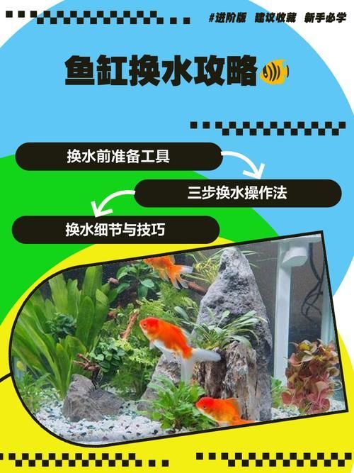 魚缸加鹽后多久換水，魚缸加鹽后多久換水會導致鹽積累，魚缸加鹽后多久換水