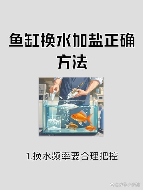 魚缸加鹽后多久換水，魚缸加鹽后多久換水會導致鹽積累，魚缸加鹽后多久換水