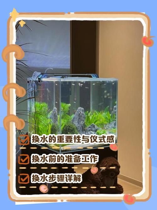 魚缸加鹽后多久換水，魚缸加鹽后多久換水會導致鹽積累，魚缸加鹽后多久換水