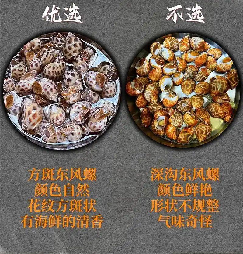 如何辨別真假東至龍魚？，如何辨別東至龍魚
