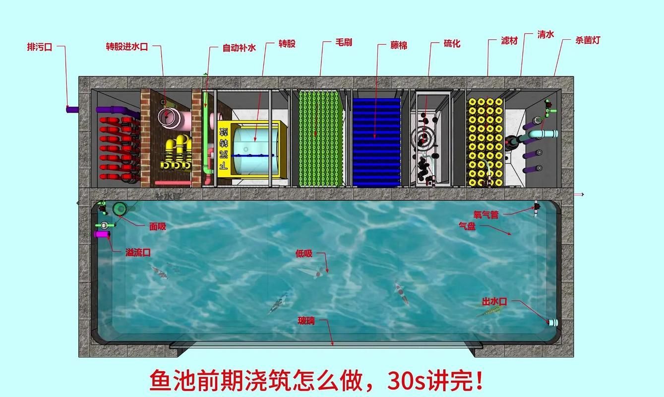 萬州龍魚養殖技術有哪些？