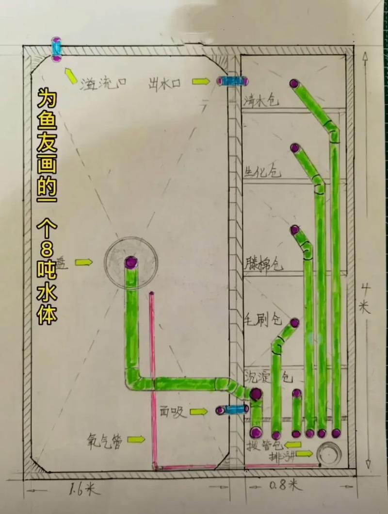 萬州龍魚養殖技術有哪些？