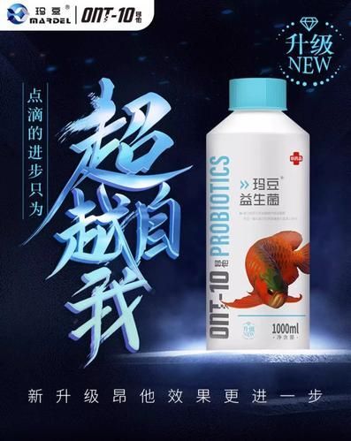 有哪些魚藥可以調理龍魚腸胃？，哪種魚藥可以調理龍魚腸胃？