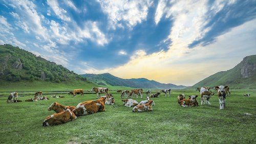 有哪些政策支持養(yǎng)殖業(yè)，政策支持養(yǎng)殖業(yè)“3”