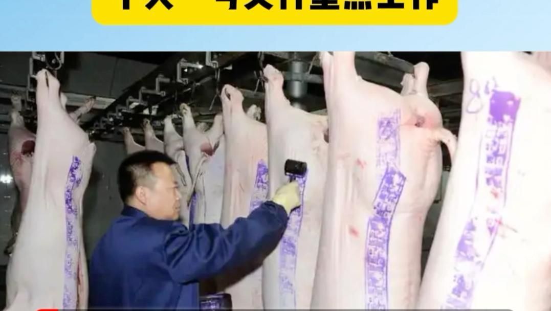有哪些政策支持養殖業，政策支持養殖業“3”