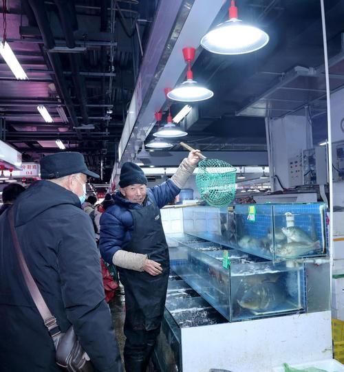 麻章龍魚的市場供需如何，麻章電商平臺供需分析