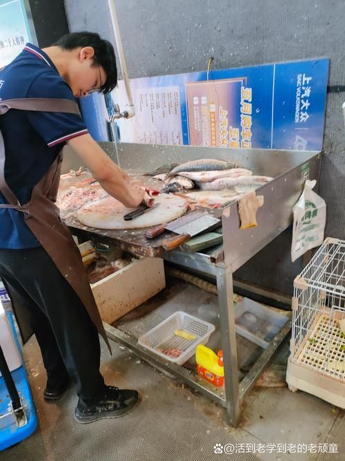 麻章龍魚的市場供需如何，麻章電商平臺供需分析