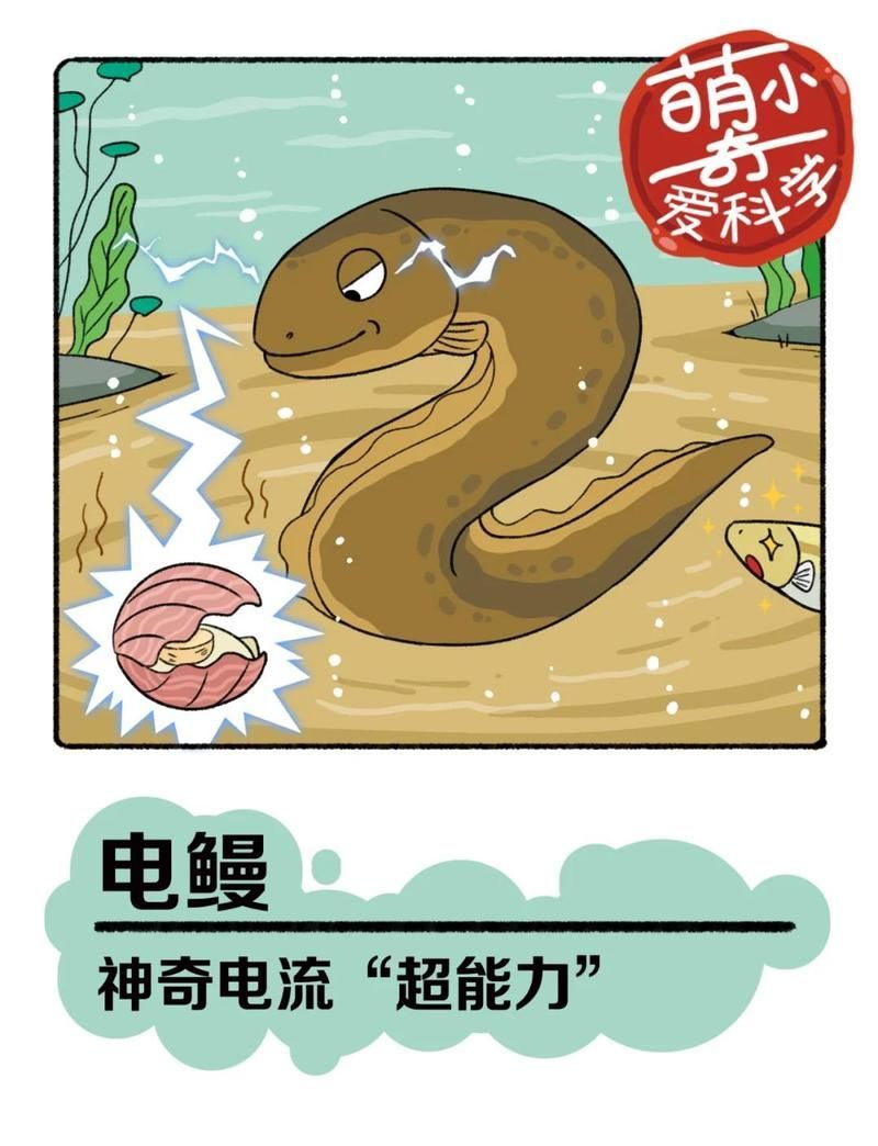 電鰻如何躲避天敵？，一電擊退天敵焦作小白科電鰻:水中的“電”力英雄咕咕小眾優品擺件
