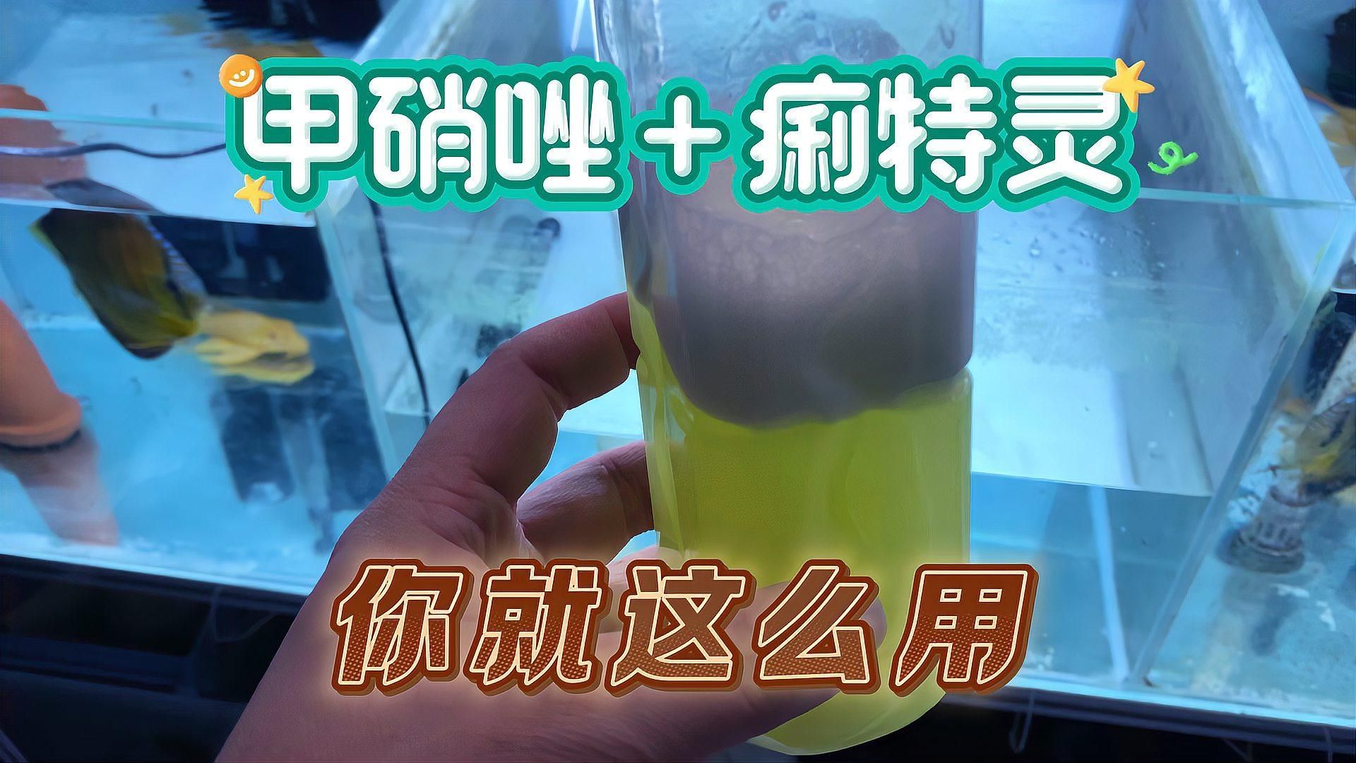 甲硝唑對哪些魚類疾病最有效，甲硝唑對哪些魚類疾病最有效,