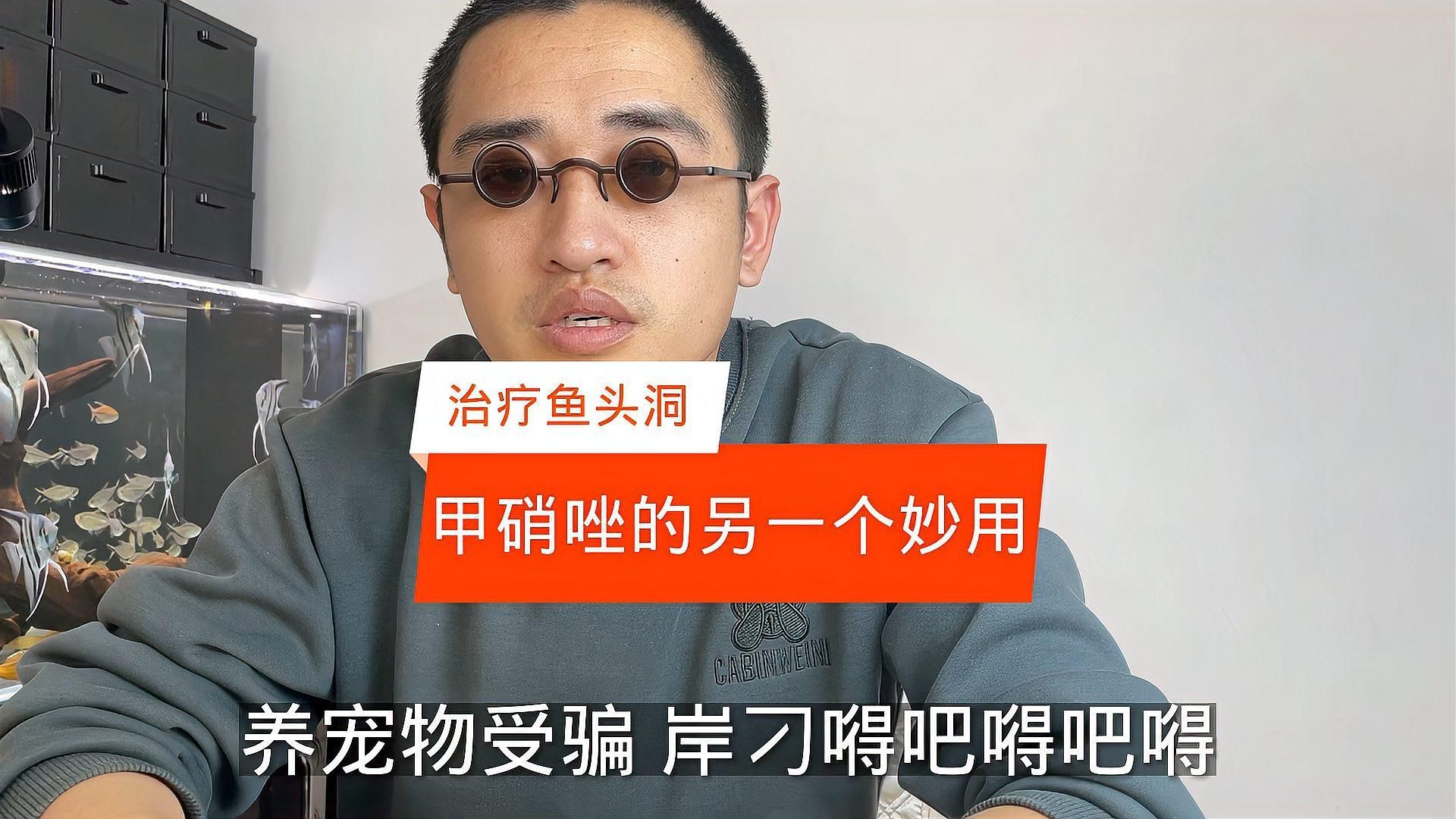 甲硝唑對哪些魚類疾病最有效，甲硝唑對哪些魚類疾病最有效,