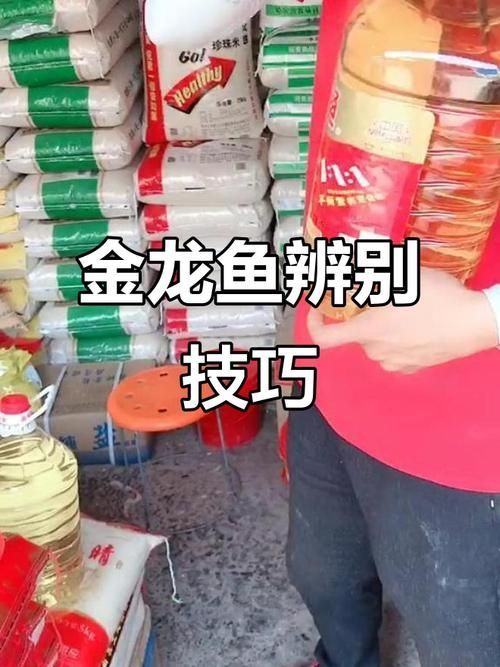 給我一些鑒別金龍魚真偽的圖片示例，加拿大菜籽油鑒別金龍魚真偽鑒別金龍魚真偽圖片示例