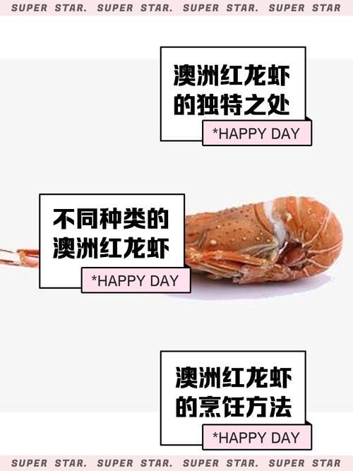 紅龍與澳龍的食用口感，如何區分澳龍和紅龍