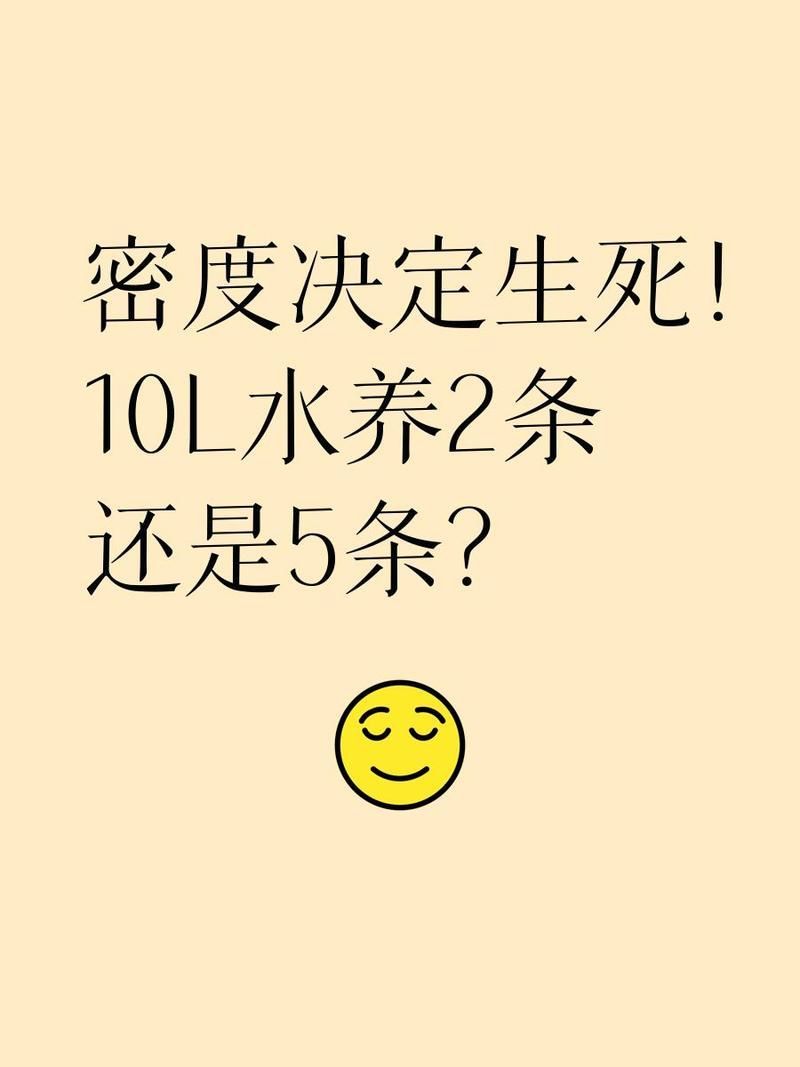 40公分金龍魚需要多大的魚缸，40公分金龍魚需要多大的魚缸,