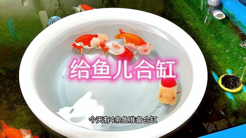 合缸前需要做哪些準備工作，合缸前準備工作的詳細指南