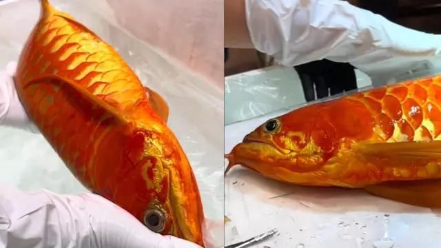 渝中龍魚錦標賽的具體信息