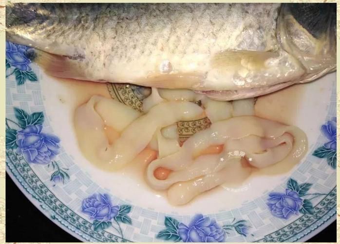 如何預防魚感染“面條蟲”