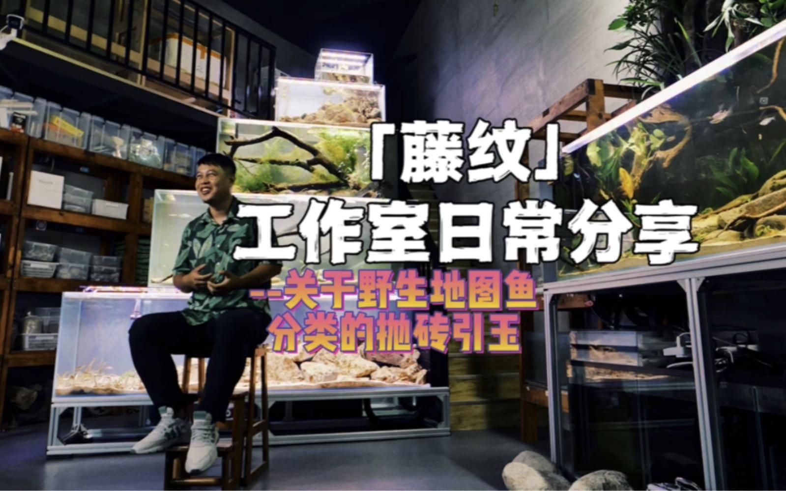 野生地圖魚有哪些品種，野生地圖魚有哪些品種，