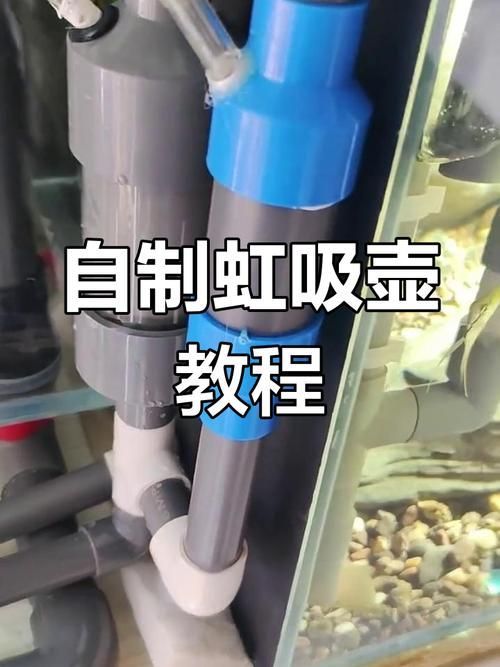 如何預防金魚魚鱗脫落