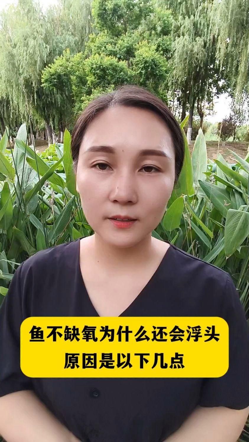 龍魚浮頭后會恢復嗎，龍魚浮頭后會恢復嗎，