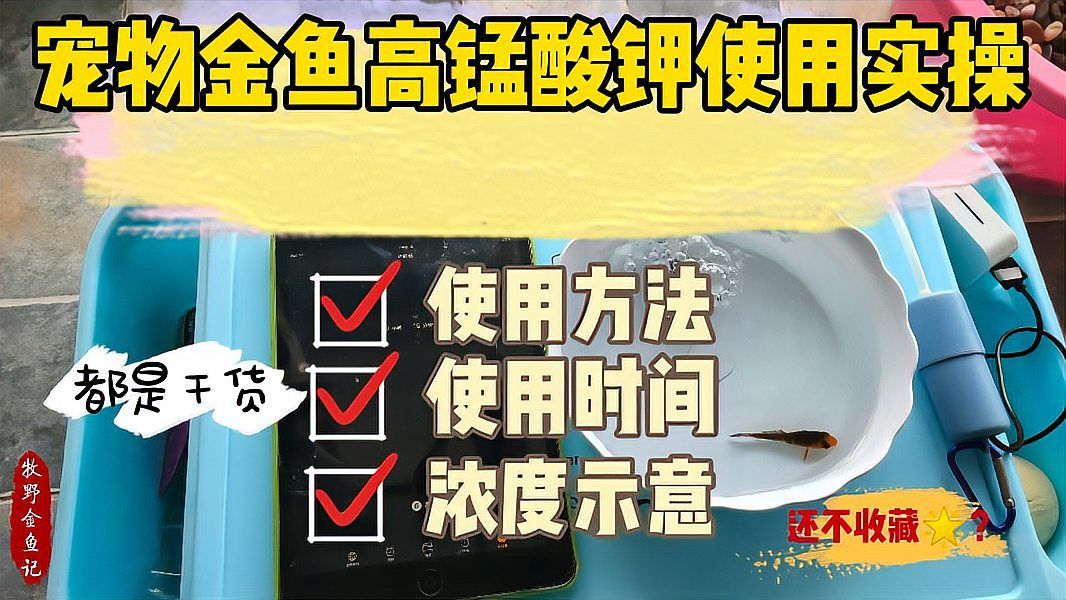 高錳酸鉀治療爛鰭爛尾的濃度如何控制，高錳酸鉀治療爛鰭爛尾的濃度如何控制治療魚爛鰭爛尾的濃度
