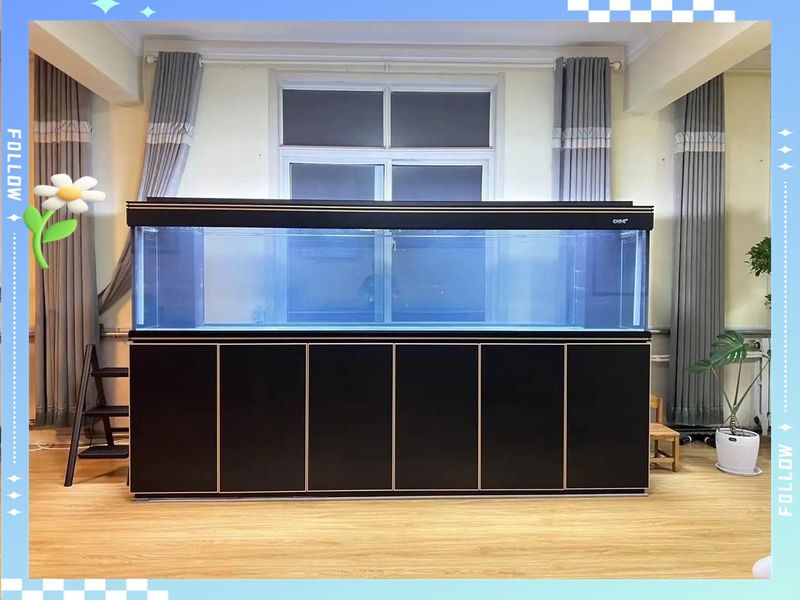 DIY龍魚缸需要哪些工具和材料？，diy龍魚缸需要哪些工具和材料,制作龍魚缸是一項既考驗動手能力又需要細致規劃的工程