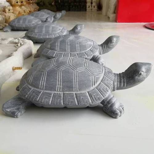 石龜擺放的最佳方位，石龜擺放的最佳方位需綜合，三大因素