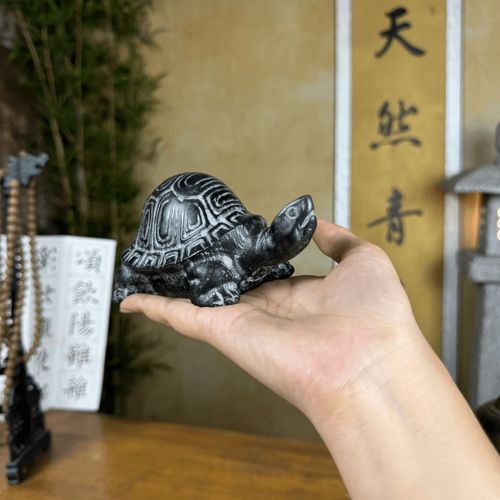 石龜擺放的最佳方位，石龜擺放的最佳方位需綜合，三大因素