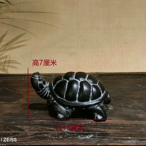 石龜擺放的最佳方位，石龜擺放的最佳方位需綜合，三大因素