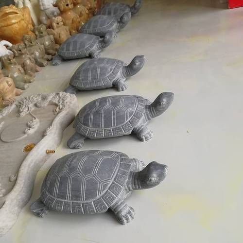 石龜擺放的最佳方位，石龜擺放的最佳方位需綜合，三大因素