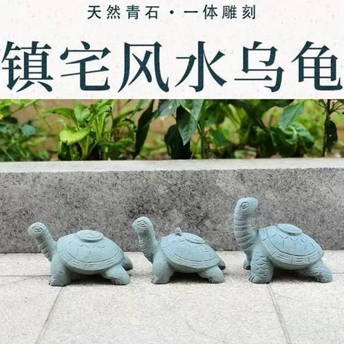 石龜擺放的最佳方位，石龜擺放的最佳方位需綜合，三大因素