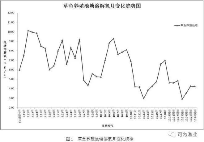 如何預(yù)防小魚浮頭