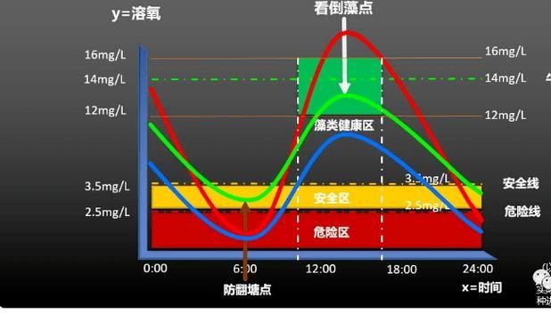 如何預(yù)防小魚浮頭