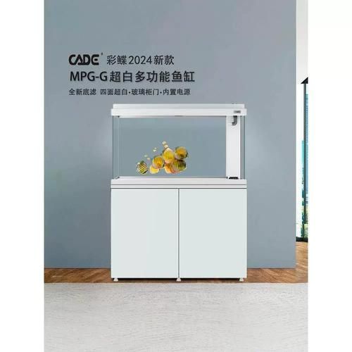 彩鰈龍魚缸的價格范圍是多少？，彩鰈龍魚缸價格范圍