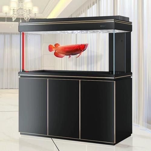 彩鰈龍魚缸的價格范圍是多少？，彩鰈龍魚缸價格范圍