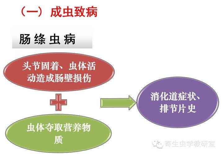 人類(lèi)感染舌形絳蟲(chóng)的概率有多大，arxiv論文助手arxiv論文助手獲取最新研究論文