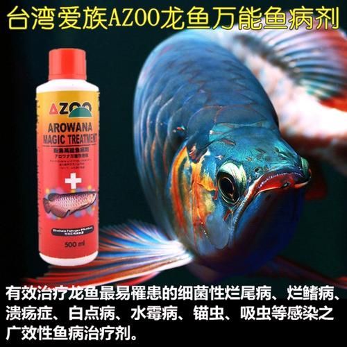 給我一些龍魚爛鰭爛尾的圖片示例，龍魚爛鰭爛尾是一種常見疾病