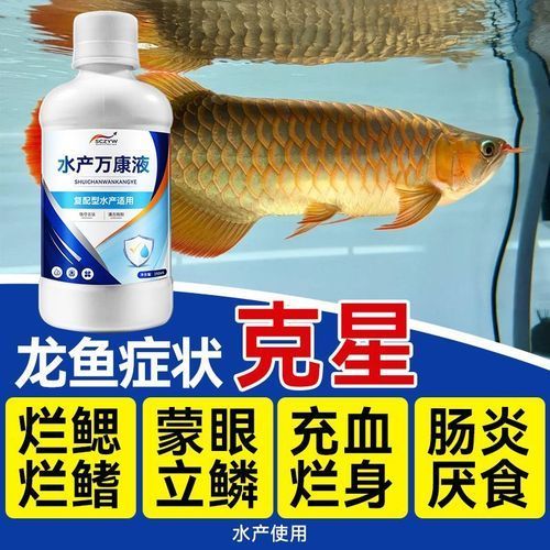 給我一些龍魚爛鰭爛尾的圖片示例，龍魚爛鰭爛尾是一種常見疾病