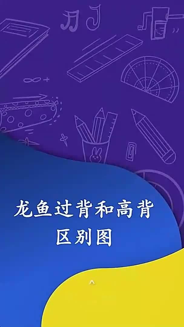 如何區(qū)分金龍魚過背和不過背，如何區(qū)分金龍魚的過背和不過背