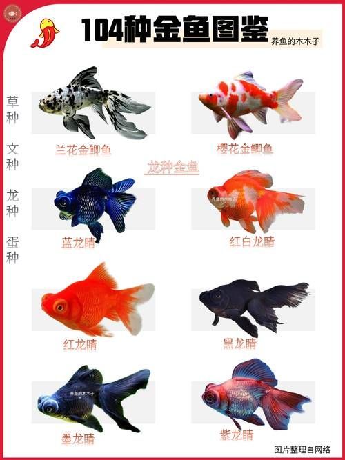 如何判斷水質是否適合養魚，arxiv論文助手判斷水質是否適合養魚