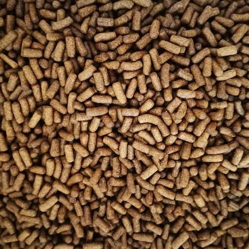 如何判斷龍魚飼料的質量？