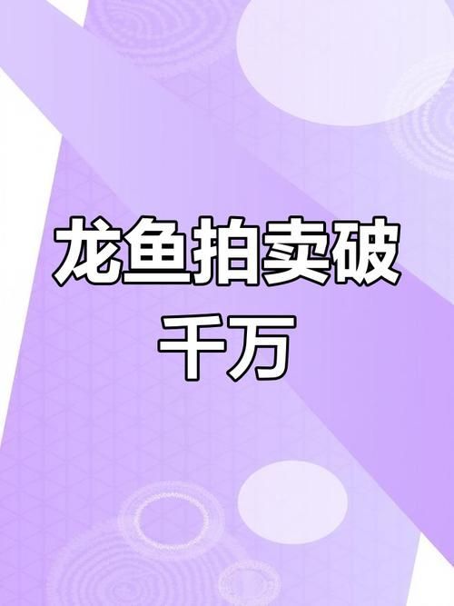 天津龍魚的價格范圍是多少，天津龍魚價格范圍是多少天津龍魚的價格范圍是多少