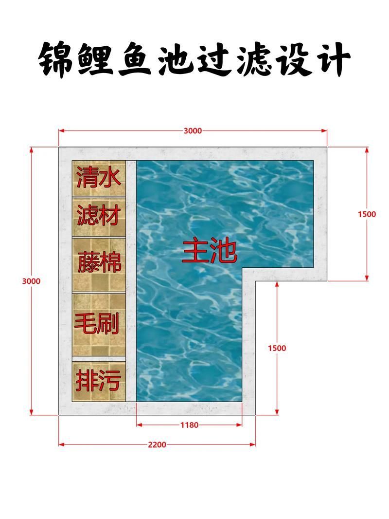 如何預防錦鯉魚爛尾病，如何預防錦鯉爛尾病