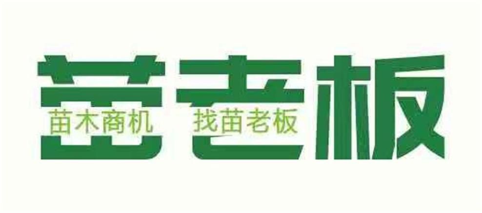 優(yōu)苗網(wǎng)和魚(yú)拉拉哪個(gè)更好，優(yōu)是否和魚(yú)拉拉哪個(gè)更好